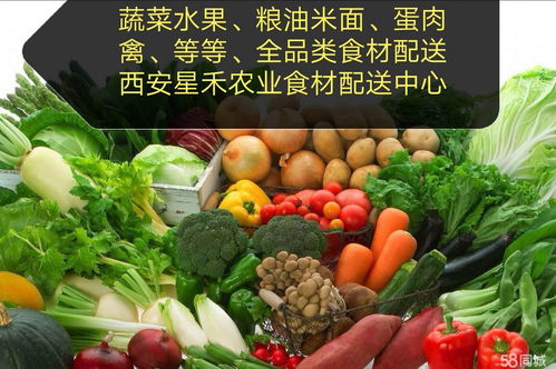 食堂送菜配送蔬菜公司 為餐飲行業提供高效、新鮮的蔬菜供應